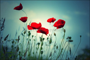 Mindful Monday's at LivNordic Spa & Wellness