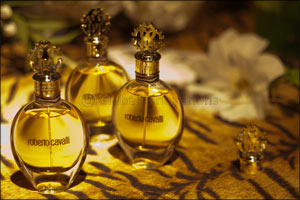 Roberto Cavalli: Signature for Women and Uomo for Men