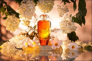 Andalusian Soul, a daring creation of femininity, from The Merchant of Venice